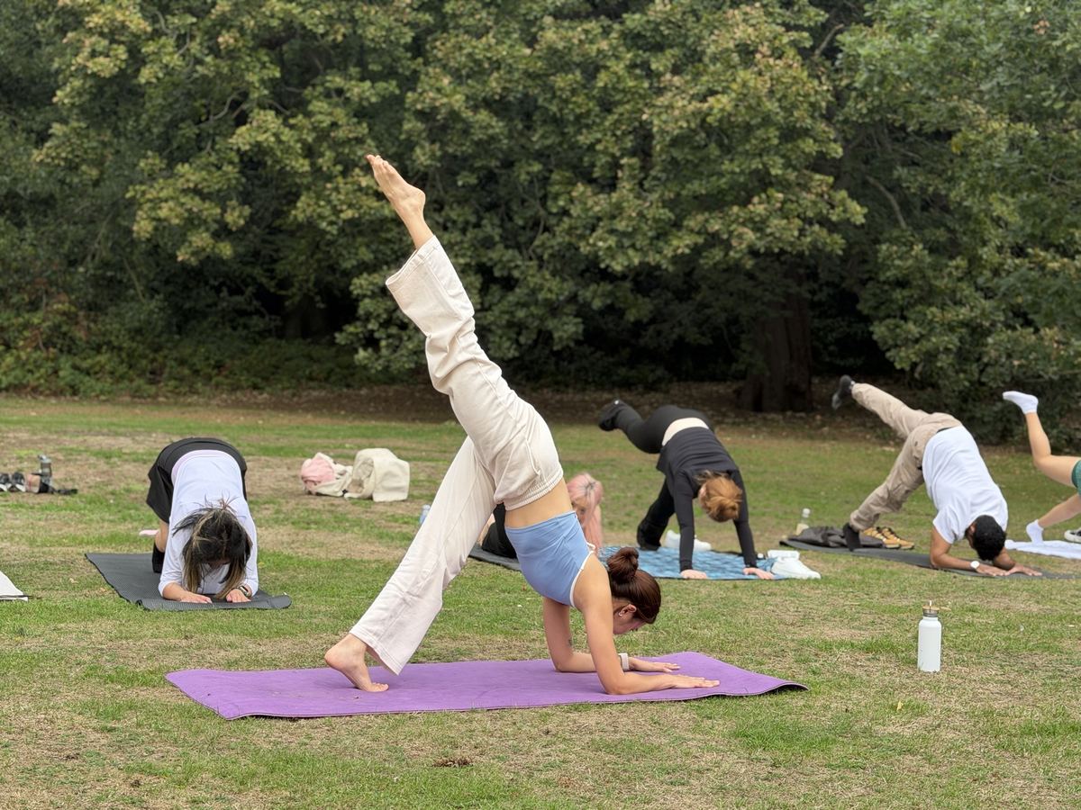 Zu and a friend kicking into forearm stand on a purple mat in the park